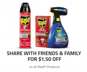 raid