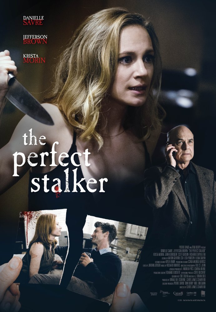 the-perfect-stalker-movie-lifetime-darlene-michaud