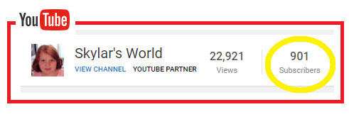 skylars world 900 subscribers