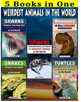 animals