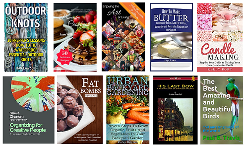 . 10 free amazon ebooks darlene michaud 2