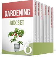 box set 2