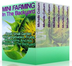 box set 3