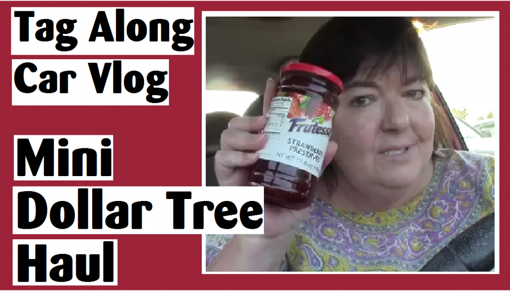 mini dollar tree haul darlene michaud