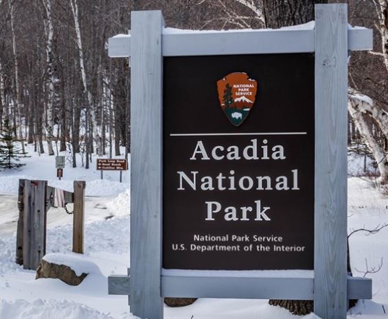 maine acadia national park darlene michaud tall