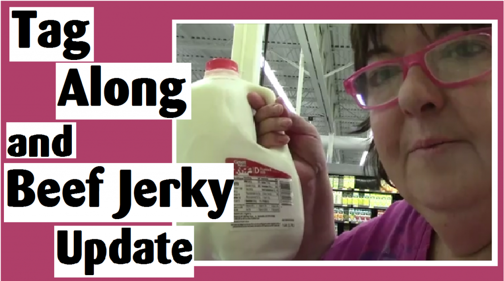 tag along with me to walmart beef jerky update darlene michaud