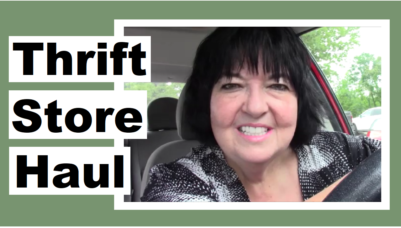 Thrift Store Haul and Carnivore Talk « Darlene Michaud